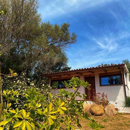 Вілла Casa Saltara (Adults Only) Санта-Тереза-Галлура Екстер'єр фото