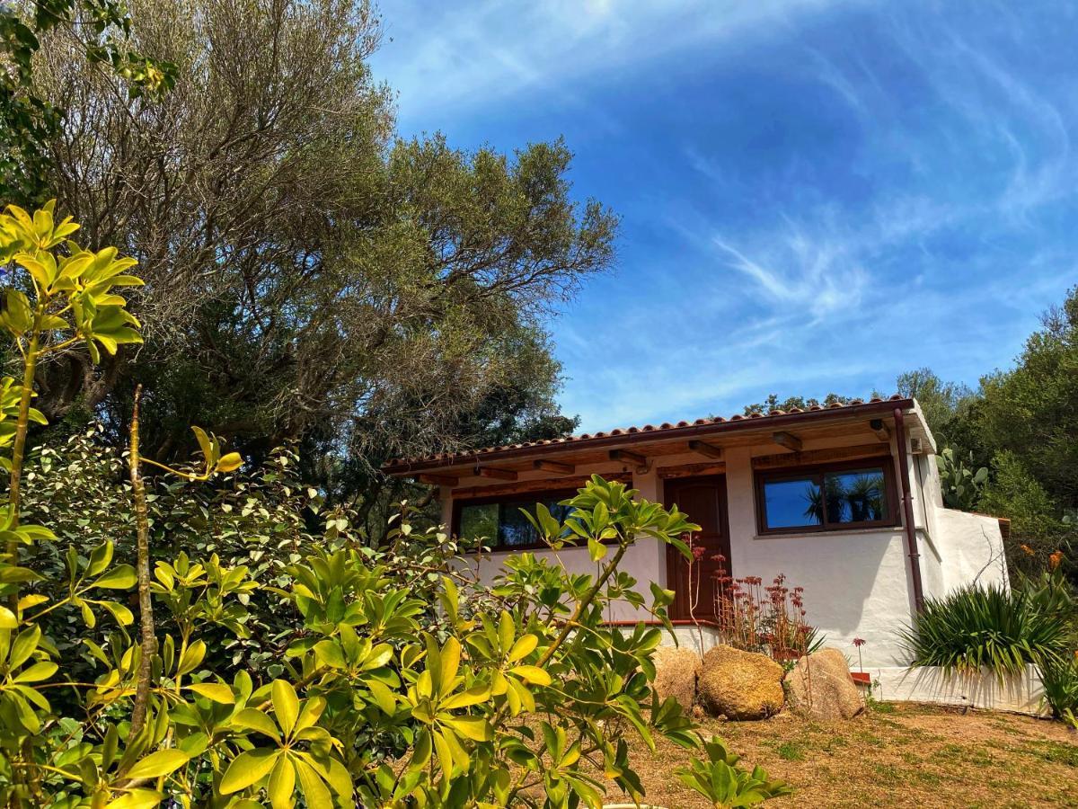 Вілла Casa Saltara (Adults Only) Санта-Тереза-Галлура Екстер'єр фото