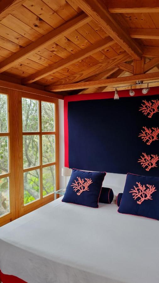 Вілла Casa Saltara (Adults Only) Санта-Тереза-Галлура Екстер'єр фото