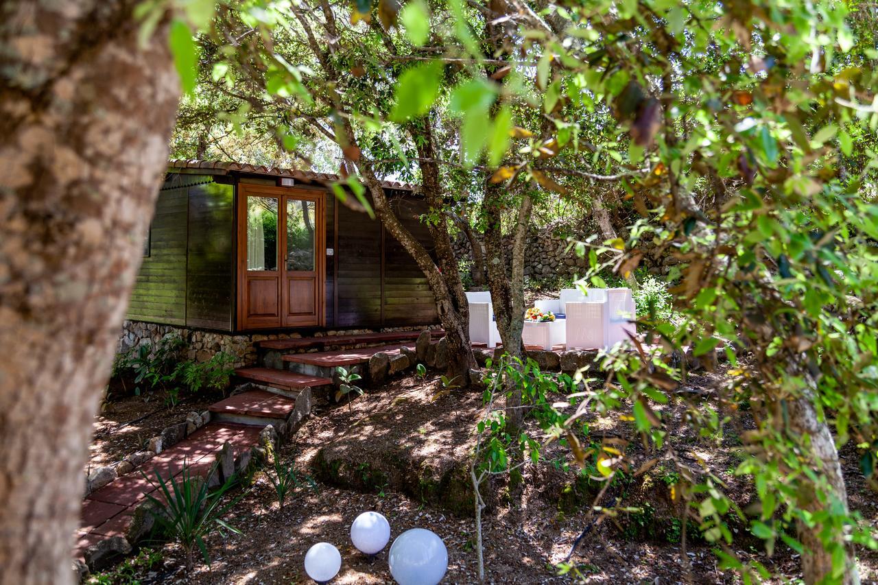 Вілла Casa Saltara (Adults Only) Санта-Тереза-Галлура Екстер'єр фото
