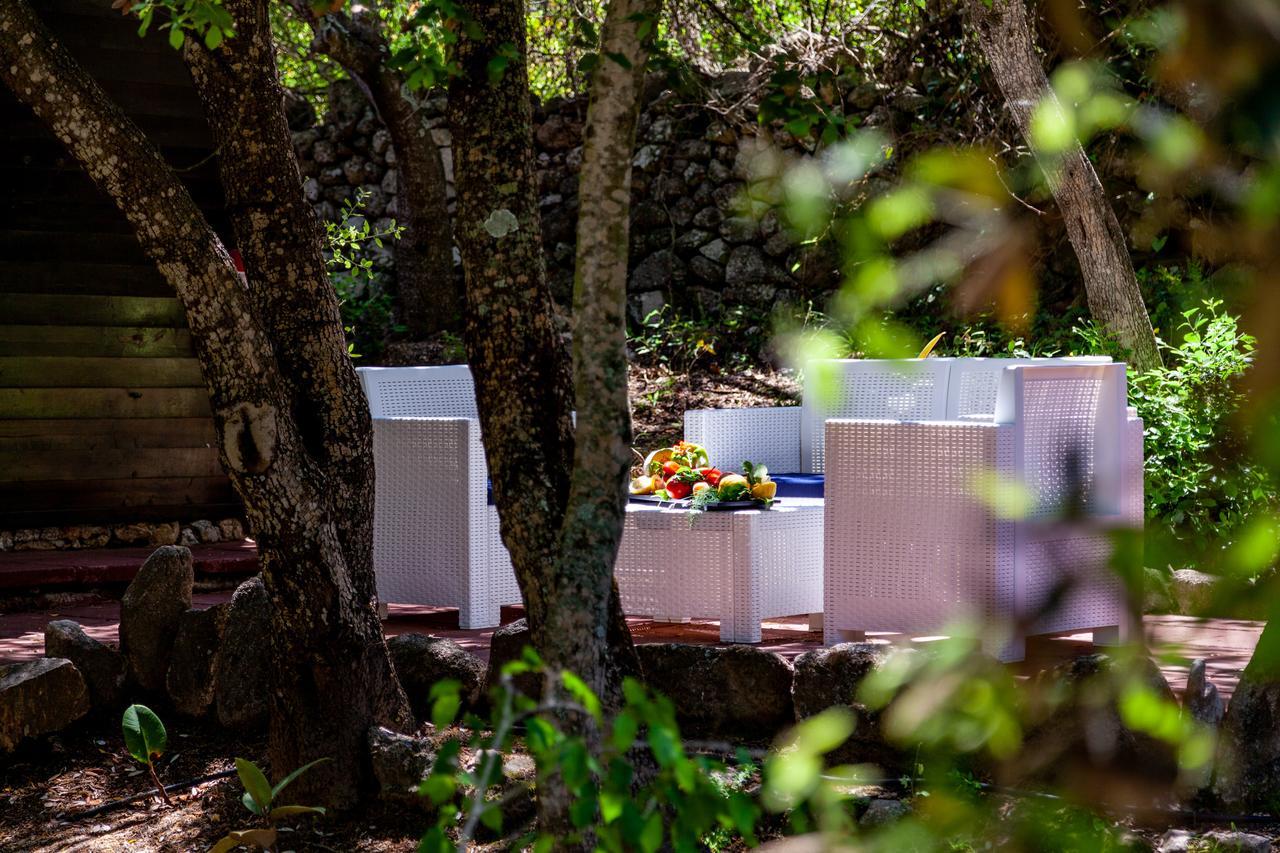Вілла Casa Saltara (Adults Only) Санта-Тереза-Галлура Екстер'єр фото