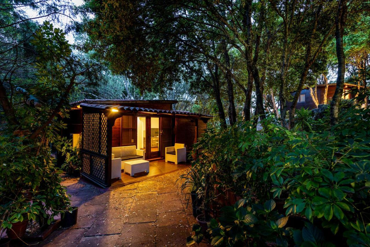 Вілла Casa Saltara (Adults Only) Санта-Тереза-Галлура Екстер'єр фото